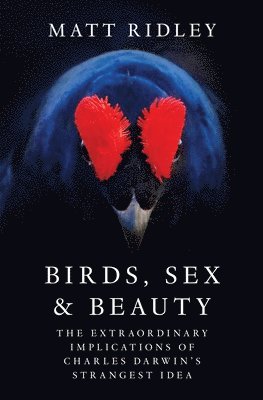 Matt Ridley - Birds, Sex and Beauty: The Extraordinary Implications of Charles Darwin's Strangest Idea, Inbunden