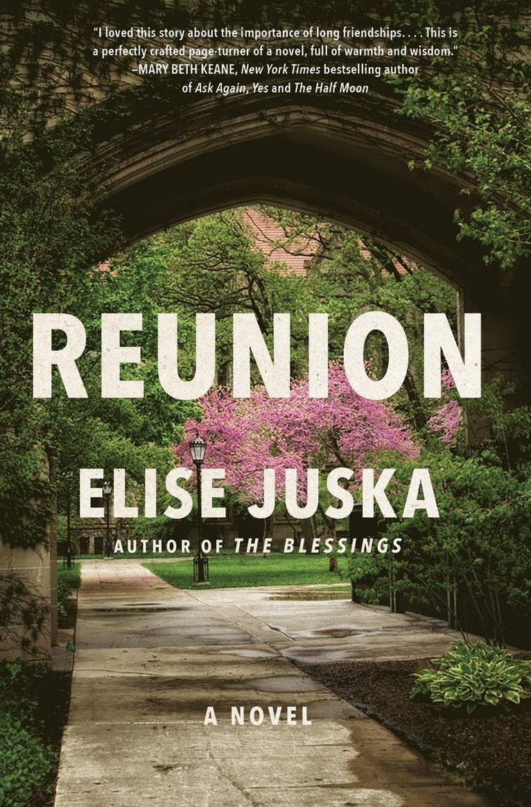 Elise Juska - Reunion, Inbunden