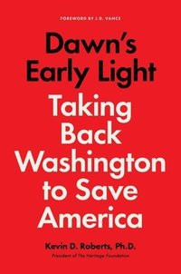 bokomslag Dawn's Early Light: Taking Back Washington to Save America