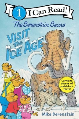 The Berenstain Bears Visit the Ice Age