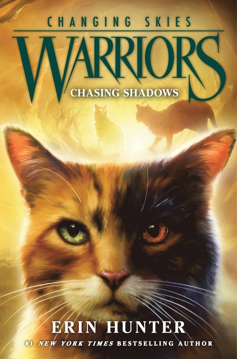 Warriors: Changing Skies #3: Chasing Shadows