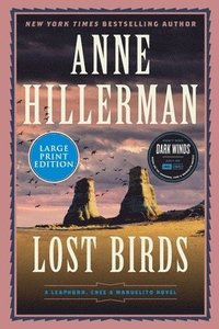 bokomslag Lost Birds
