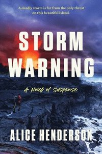 bokomslag Storm Warning