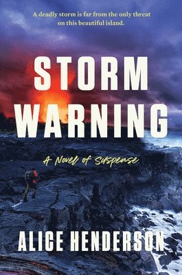 bokomslag Storm Warning