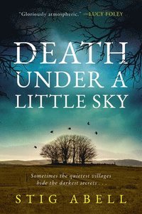 bokomslag Death Under a Little Sky