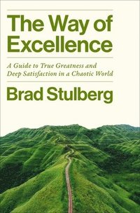 bokomslag The Way of Excellence: A Guide to True Greatness and Deep Satisfaction in a Chaotic World