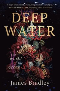 bokomslag Deep Water: The World in the Ocean