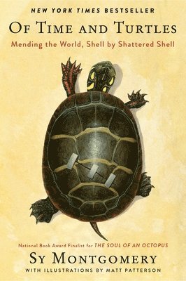 bokomslag Of Time and Turtles: Mending the World, Shell by Shattered Shell