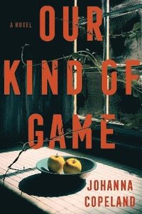 bokomslag Our Kind of Game