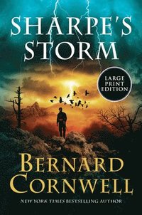 bokomslag Sharpe's Storm