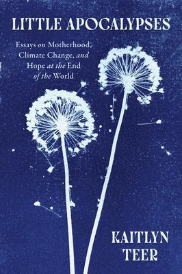Kaitlyn Teer - Little Apocalypses: Essays on Motherhood, Climate Change, and Hope at the End of the World, Häftad