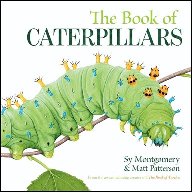Sy Montgomery - Book of Caterpillars, Inbunden