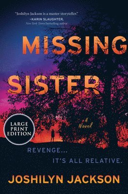 bokomslag Missing Sister