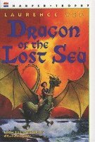 bokomslag Dragon Of The Lost Sea