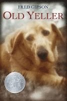 bokomslag Old Yeller