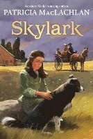 Patricia MacLachlan - Skylark, Häftad