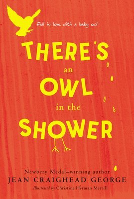 bokomslag There's an Owl in the Shower