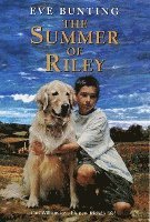 bokomslag Summer Of Riley