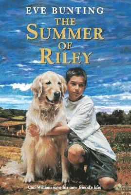 Eve Bunting - Summer of Riley, Häftad