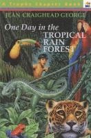 bokomslag One Day in the Tropical Rain Forest