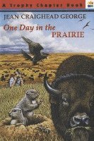 bokomslag One Day in the Prairie