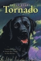Betsy Byars - Tornado, Häftad