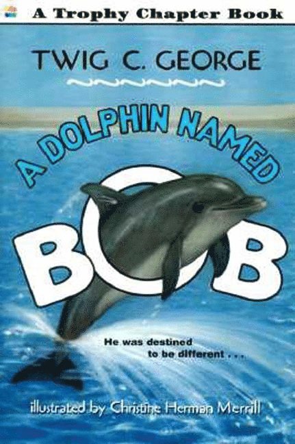 A Dolphin Named Bob 1