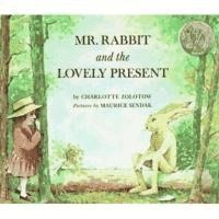 bokomslag Mr Rabbit and the Lovely Present