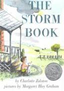 bokomslag The Storm Book