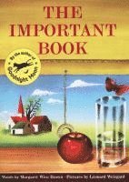 bokomslag The Important Book