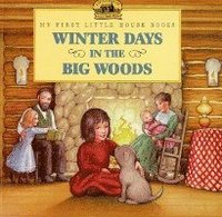 bokomslag Winter Days in the Big Woods Picture Book