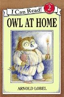 bokomslag Owl At Home