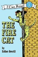 bokomslag The Fire Cat