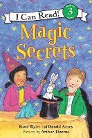 bokomslag Magic Secrets