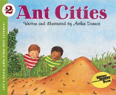 Arthur Dorros, written, illustrated Arthur Dorros - Ant Cities, Häftad