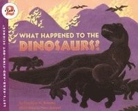 bokomslag What Happened to the Dinosaurs?