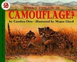 Carolyn B. Otto - What Color Is Camouflage?, Häftad