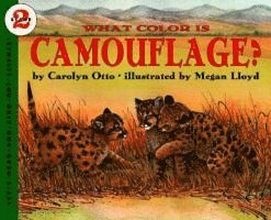 What Color Is Camouflage? 1