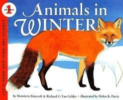 Animals In Winter 1