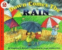 bokomslag Down Comes the Rain