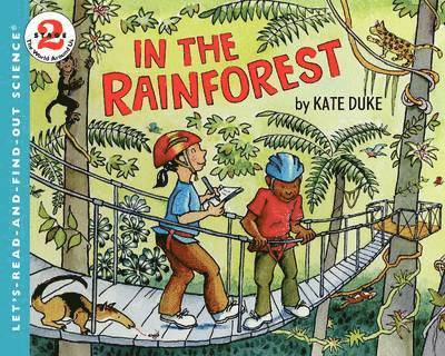 In the Rainforest