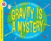 bokomslag Gravity Is A Mystery