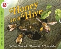 bokomslag Honey in a Hive