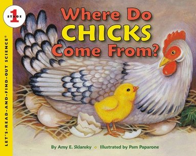 bokomslag Where Do Chicks Come From?