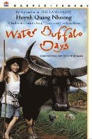 Quang Nhuong Huynh - Water Buffalo Days, Häftad