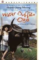 Water Buffalo Days 1