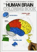 bokomslag The Human Brain Coloring Book