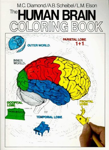 Marian C. Diamond, Arnold B. Scheibel - Human Brain Coloring Book, Häftad