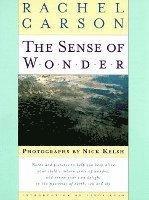 bokomslag Sense Of Wonder