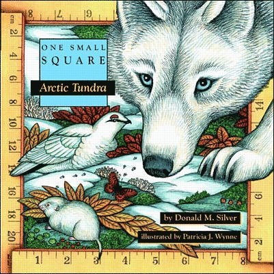 Donald Silver, Patricia Wynne, Donald M. Silver, Donald M Silver - Arctic Tundra, Häftad